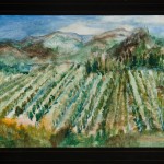 Vineyard, 2010